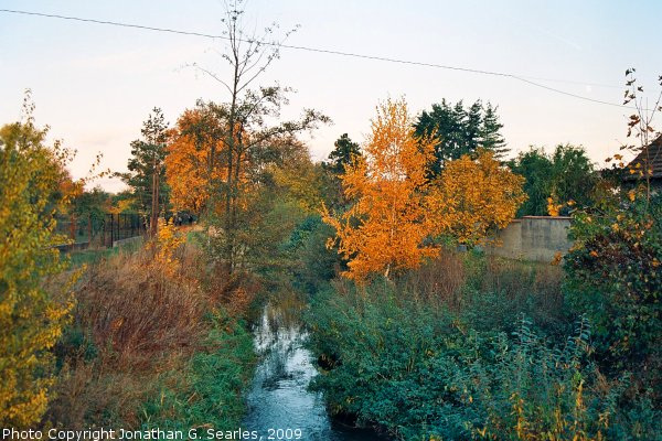 Fall Colors, Picture 2, Poricany, Bohemia (CZ), 2009