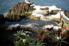 Madeira. Lava-Meereswasser-Schwimmbecken.  ©UdoSm