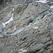 20060618 0378DSCw [R~CH] Gletsch: Rhonegletscher, Wallis [Schweiz]