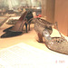 Bata shoe museum / Toronto, CANADA - 2 novembre 2005