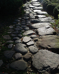Kyoto path