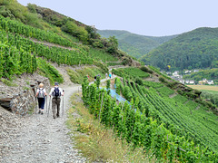 Walking the Red Wine Trail