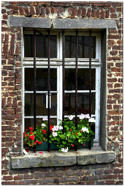 Gitter-Fenster