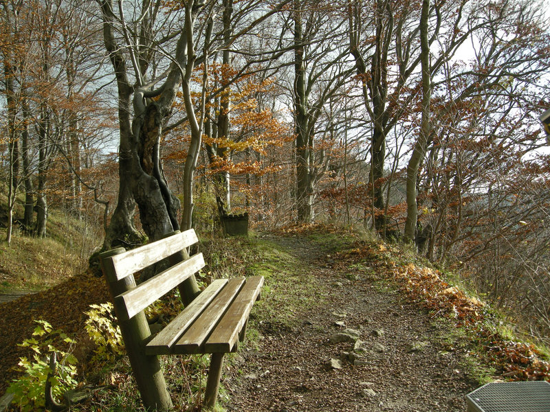 Burgberg - Harz