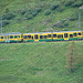 20060630 0521DSCw [R~CH] Grindelwald: Kleine Scheidegg, Lauterbrunnenbahn, Bern [Schweiz]