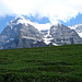 20060630 0525DSCw [R~CH] Grindelwald: Kleine Scheidegg, Eiger, Bern [Schweiz]