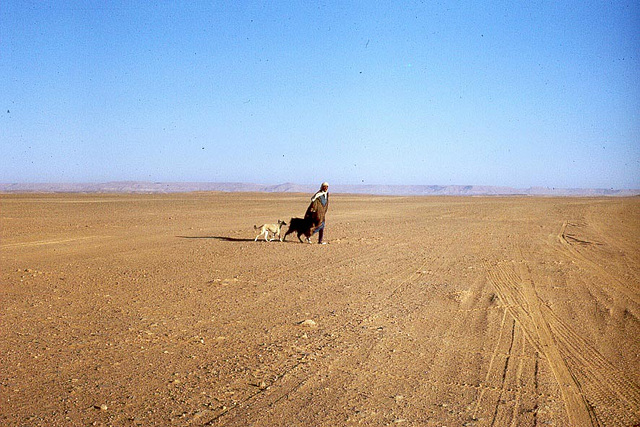 Sahara-toureg-avec-chevres