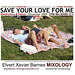 SaveYourLoveForMe.Electronica.NewYear2010.December2009