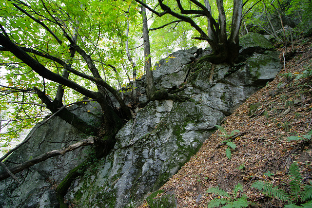 IMG 1042 IMG 1042