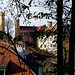 20061110 0999DSCw [D~OAL] Schloss Hohenschwangau
