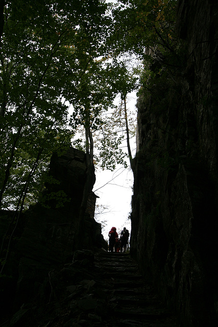 IMG 1071 IMG 1071