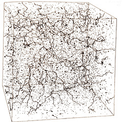A computer simulation of a network of cosmic strings in an expanding universe, provided by Paul Shellard