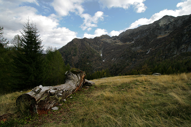 IMG 1123 IMG 1123