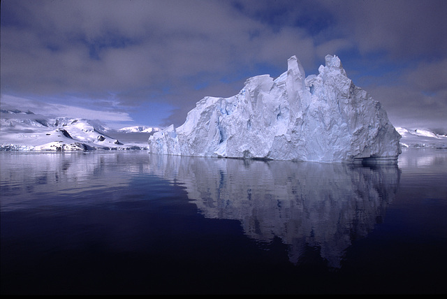 Iceberg - Antarctica