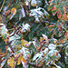 Herbstblätter und Schneeregen
