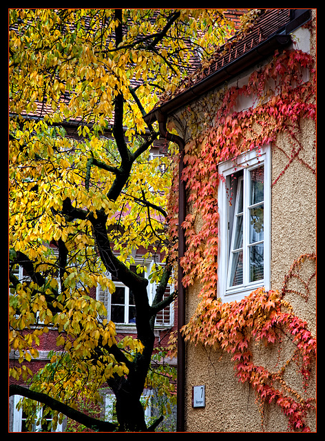 autumn in Graz