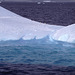 Adelie Penguins on ice flow