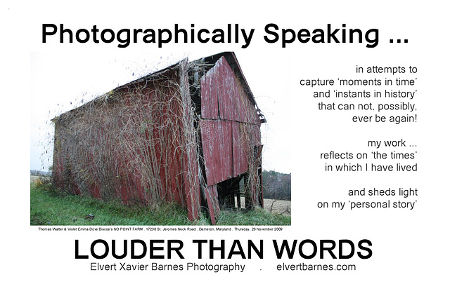 PhotographicallySpeaking.LouderThanWords.11x17a