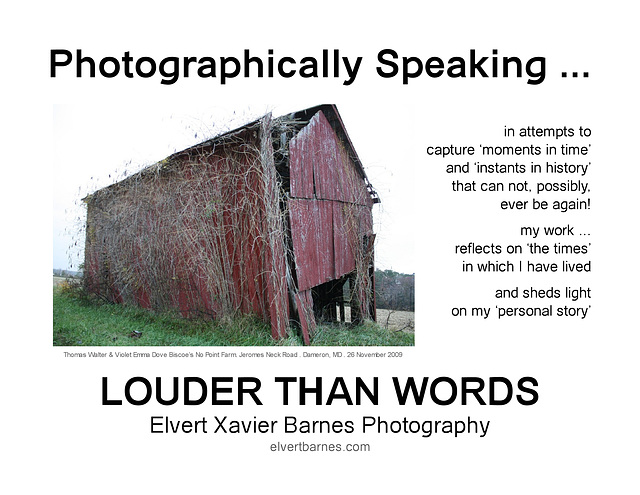 PhotographicallySpeaking.LouderThanWords3