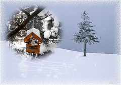 winter music ~♪~ (pip)