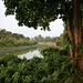 River view in western Kaziranga, Assam