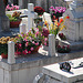 20061106 0911DSCw [F] St. Paul, Friedhof