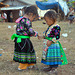 Hmong kids