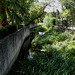 Oeiras, Municipal Garden, Ribeira da Lage - small river (2)