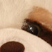 20091006 0870Tw [D~LIP] Panda-Bär, Bad Salzuflen