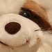 20091006 0871Tw [D~LIP] Panda-Bär, Bad Salzuflen