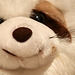 20091006 0872Tw [D~LIP] Panda-Bär, Bad Salzuflen