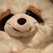 20091006 0873Tw [D~LIP] Panda-Bär, Bad Salzuflen