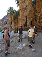Borrego Palm Canyon Oasis (3336)