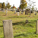 The Eastern cemetery  /  Portland, Maine USA -  11 octobre 2009- Avec flash