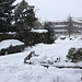 20100110 1353Aw [D~LIP] Schnee, Bad Salzuflen