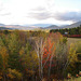 Intervalle overlook / Bartlett area. New Hampshire.  USA. 10-10-2009