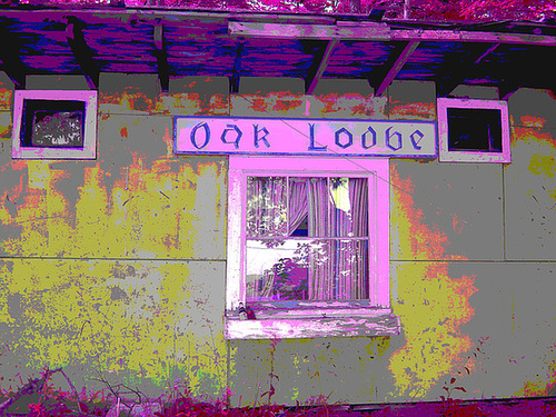 Oak lodge  /  Route 125. Vermont / USA -  À l'intersection de  Hollow drive et oak lodge drive.  25 juilet 2009.- RVB postérisé et couleurs ravivées