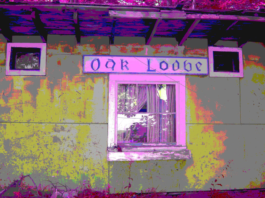 Oak lodge  /  Route 125. Vermont / USA -  À l'intersection de  Hollow drive et oak lodge drive.  25 juilet 2009.- RVB postérisé et couleurs ravivées