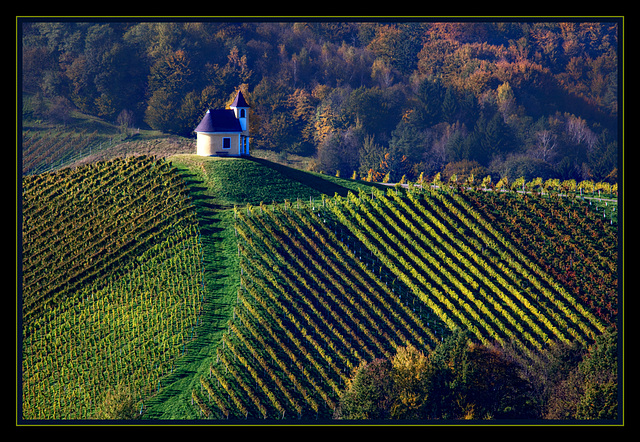 vine country Styria