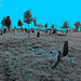 The Eastern cemetery  /  Portland, Maine USA -  11 octobre 2009  - N & B et ciel bleu photofiltré