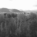Intervalle overlook / Bartlett area. New Hampshire.  USA. 10-10-2009- Noir et blanc