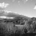 Intervalle overlook / Bartlett area. New Hampshire.  USA. 10-10-2009 - En noir et blanc