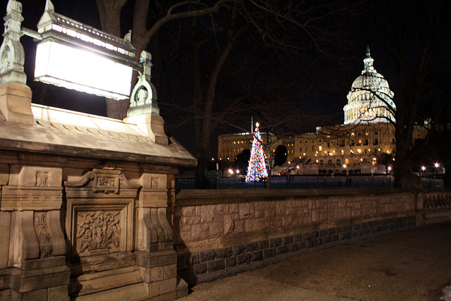 01.ChristmasTree.USCapitol.WestLawn.WDC.23December2009