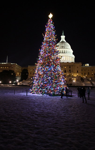 03.ChristmasTree.USCapitol.WestLawn.WDC.23December2009