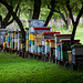 bee houses in the morning