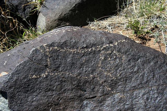 Three Rivers Petroglyphs (6079)