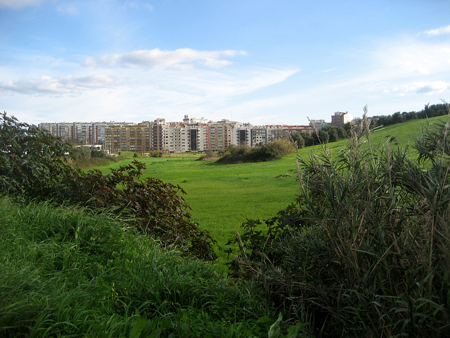 Benfica, a farm in the middle of the city (2)