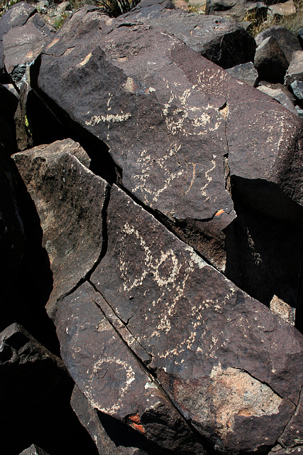 Three Rivers Petroglyphs (6083)