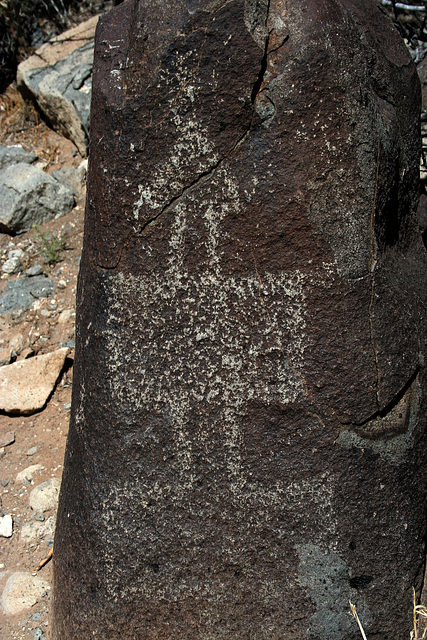 Three Rivers Petroglyphs (6100)