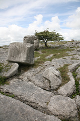 Limestone landscape